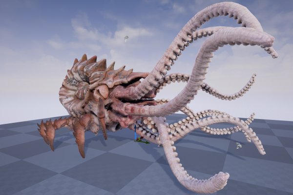 Kraken support