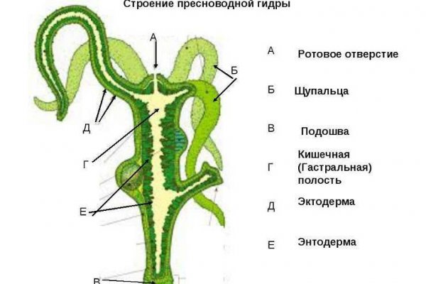 Кракен оф сайт