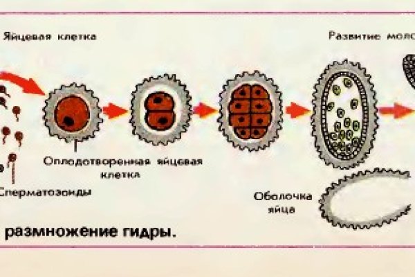 Кракен ссылка официальная