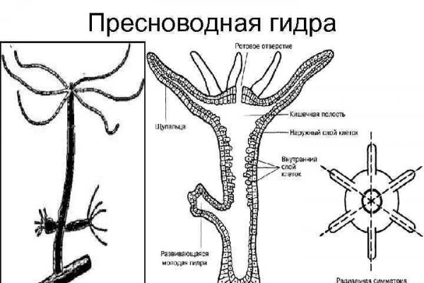 Кракен телеграмм магазин